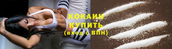 стаф Абинск