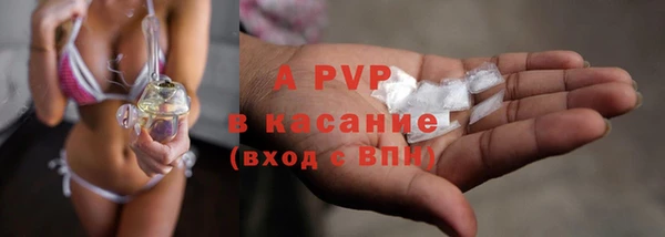 хмурый Алзамай