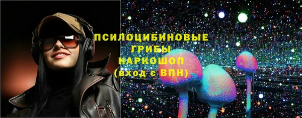 хмурый Алзамай