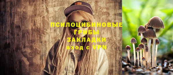 индика Алексеевка