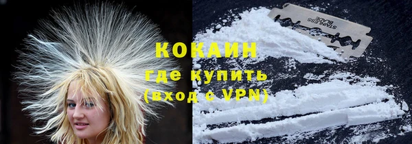 стаф Абинск