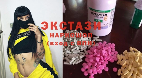 индика Сатка